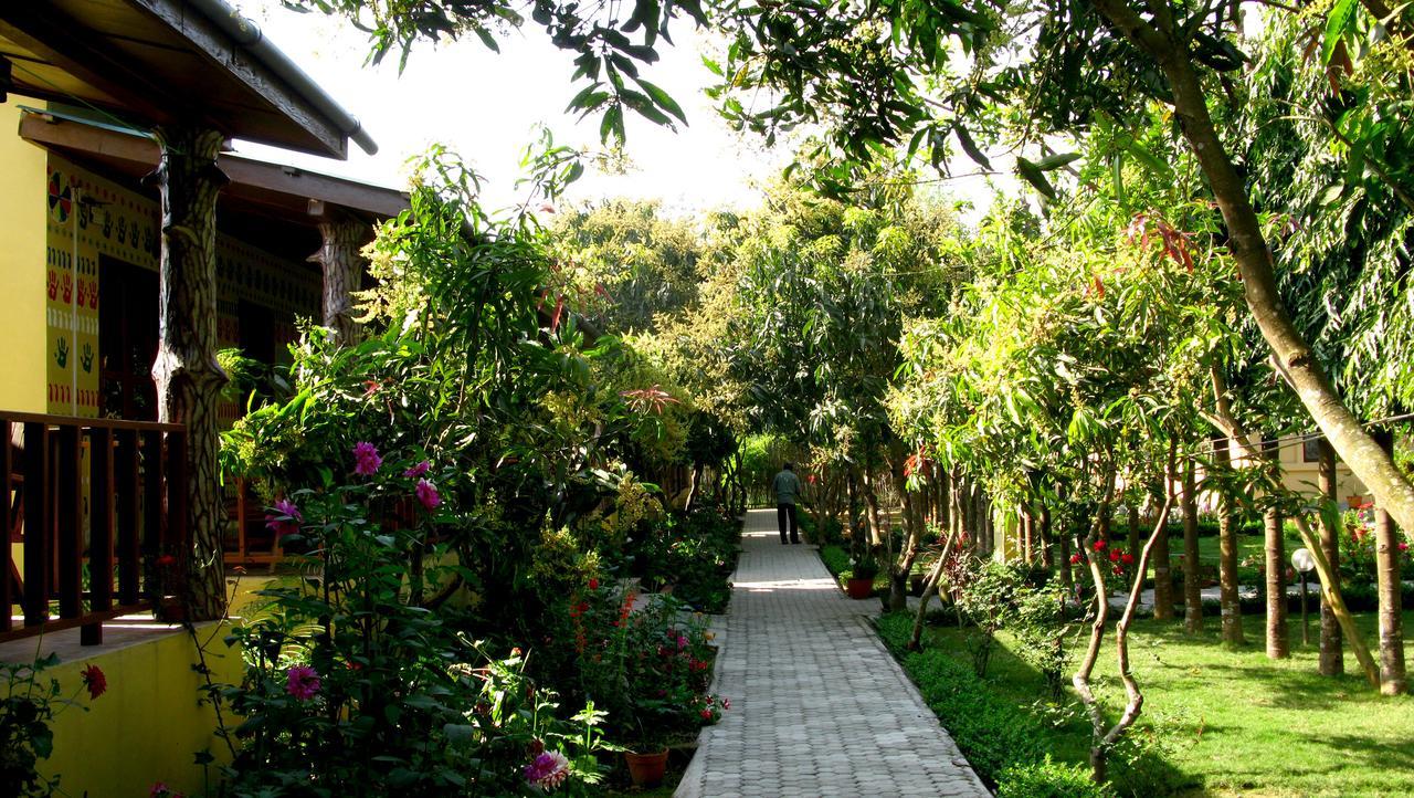 Rhino Land Jungle Lodge 사우라하 외부 사진