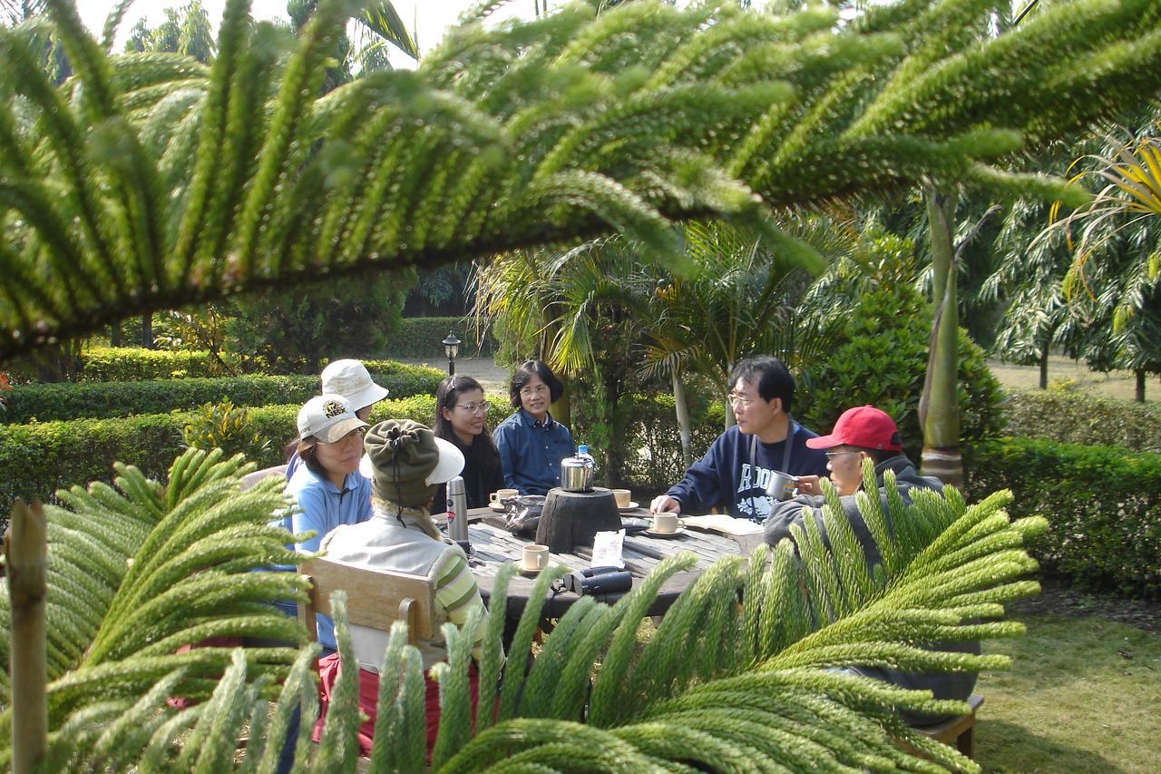 Rhino Land Jungle Lodge 사우라하 외부 사진