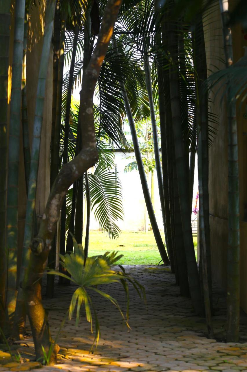 Rhino Land Jungle Lodge 사우라하 외부 사진